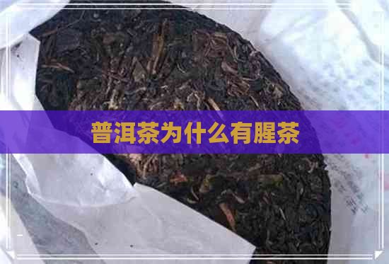 普洱茶为什么有腥茶