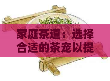 家庭茶道：选择合适的茶宠以提升品茶体验