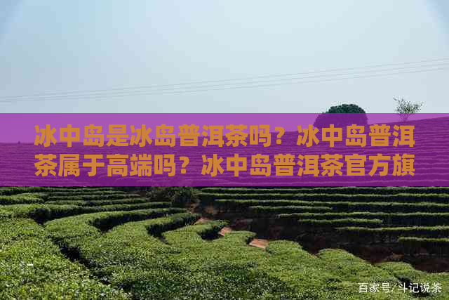 冰中岛是冰岛普洱茶吗？冰中岛普洱茶属于高端吗？冰中岛普洱茶官方旗舰店