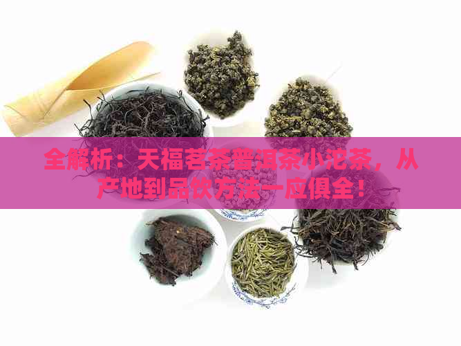 全解析：天福茗茶普洱茶小沱茶，从产地到品饮方法一应俱全！