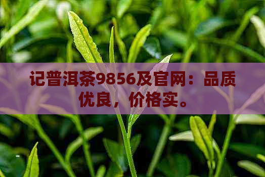 记普洱茶9856及官网：品质优良，价格实。