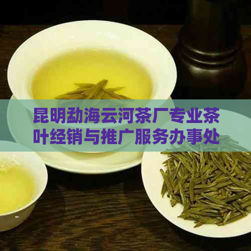 昆明勐海云河茶厂专业茶叶经销与推广服务办事处