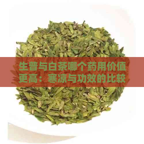 生普与白茶哪个药用价值更高：寒凉与功效的比较