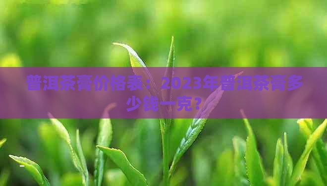 普洱茶膏价格表：2023年普洱茶膏多少钱一克？