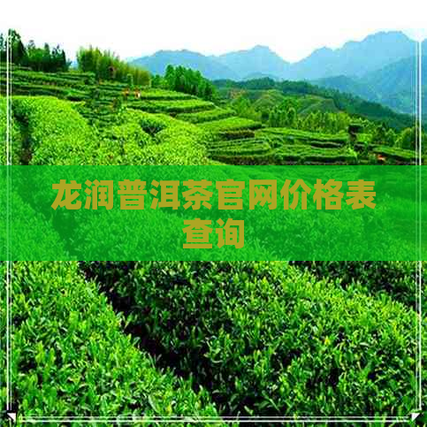 龙润普洱茶官网价格表查询