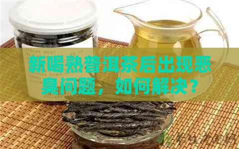 新喝熟普洱茶后出现恶臭问题，如何解决？