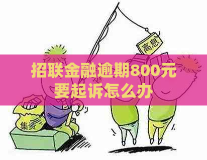 招联金融逾期800元要起诉怎么办