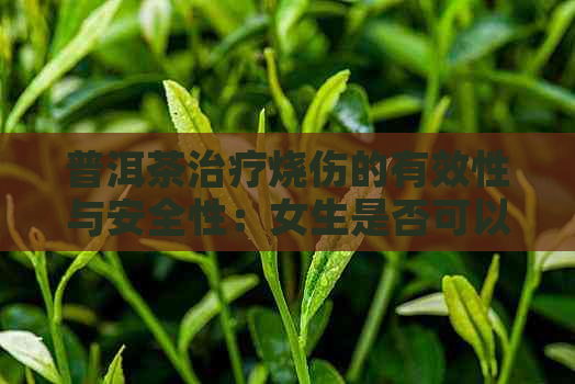 普洱茶治疗烧伤的有效性与安全性：女生是否可以饮用？解答您的所有疑问