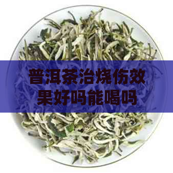 普洱茶治烧伤效果好吗能喝吗