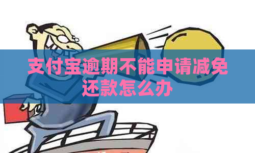 支付宝逾期不能申请减免还款怎么办