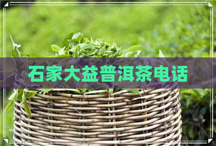 石家大益普洱茶电话