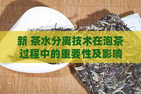 新 茶水分离技术在泡茶过程中的重要性及影响因素探讨