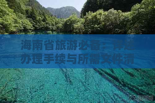 海南省旅游必备：详述办理手续与所需文件清单