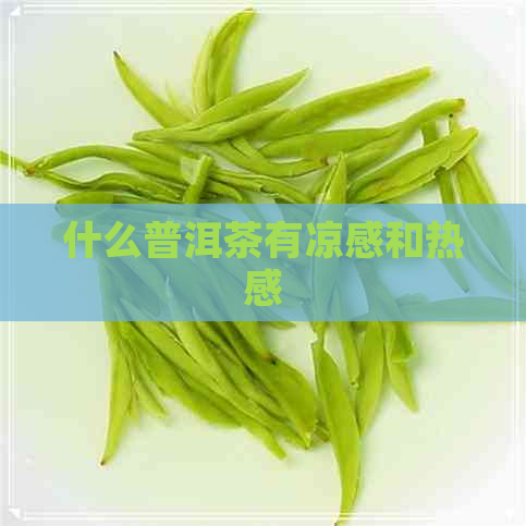 什么普洱茶有凉感和热感