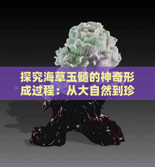 探究海草玉髓的神奇形成过程：从大自然到珍宝的奇妙转变