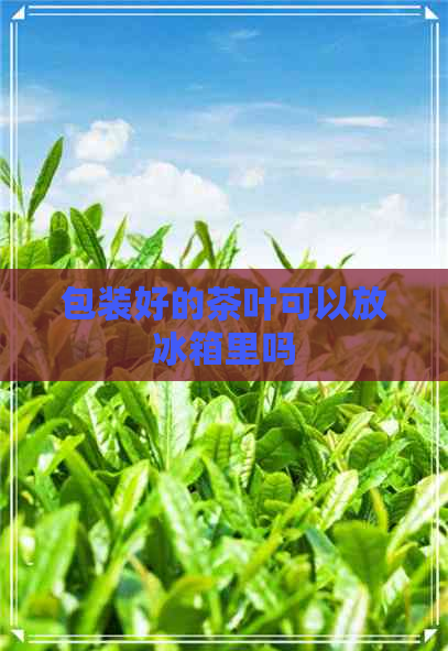 包装好的茶叶可以放冰箱里吗