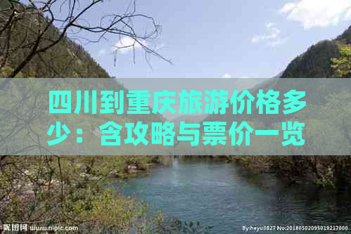 四川到重庆旅游价格多少：含攻略与票价一览