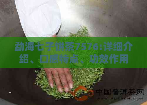 勐海七子饼茶7576:详细介绍、口感特点、功效作用与冲泡方法，一网打尽！