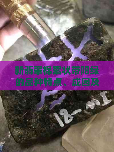 新翡翠棉絮状带阳绿的品种特点、成因及鉴别方法全面解析