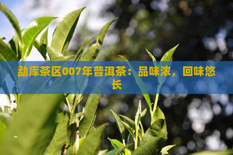 勐库茶区007年普洱茶：品味浓，回味悠长