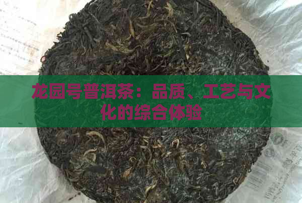 龙园号普洱茶：品质、工艺与文化的综合体验