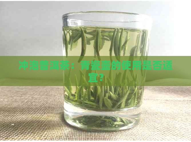 冲泡普洱茶：青瓷壶的使用是否适宜？