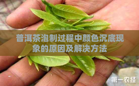 普洱茶泡制过程中颜色沉底现象的原因及解决方法