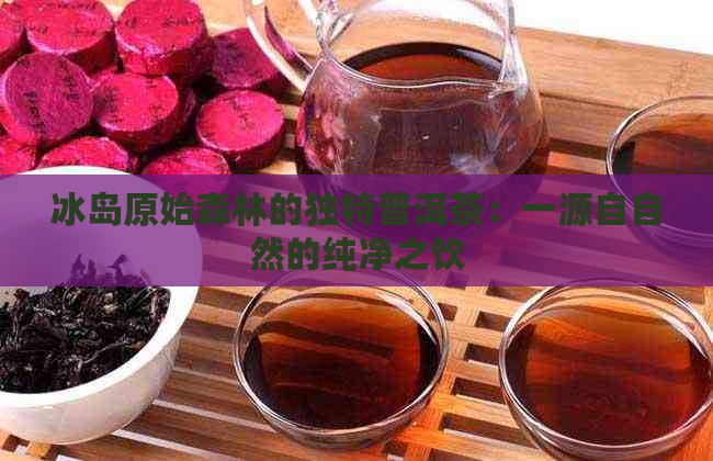 冰岛原始森林的独特普洱茶：一源自自然的纯净之饮