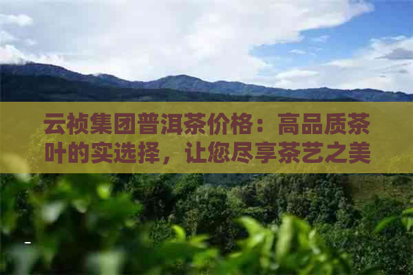 云祯集团普洱茶价格：高品质茶叶的实选择，让您尽享茶艺之美