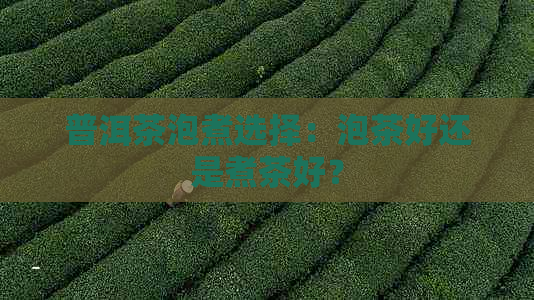 普洱茶泡煮选择：泡茶好还是煮茶好？