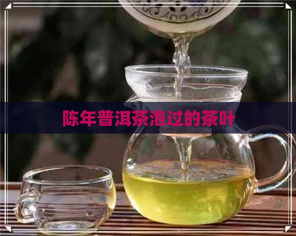 陈年普洱茶泡过的茶叶