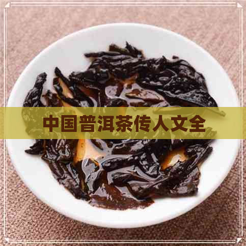 中国普洱茶传人文全