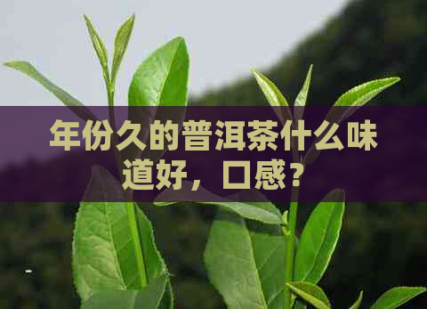 年份久的普洱茶什么味道好，口感？