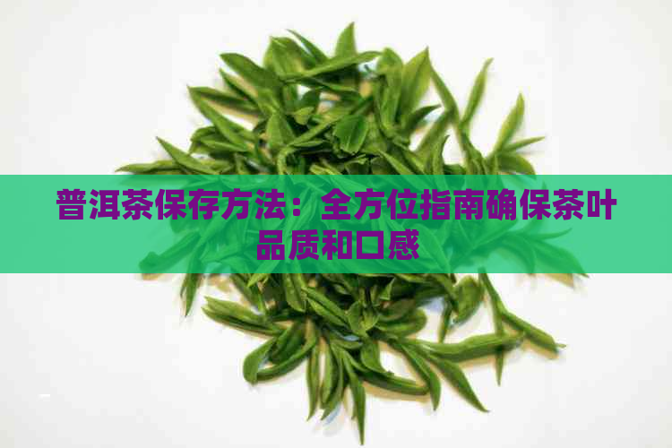 普洱茶保存方法：全方位指南确保茶叶品质和口感