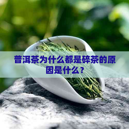 普洱茶为什么都是碎茶的原因是什么？