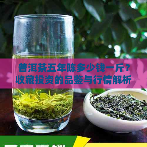 普洱茶五年陈多少钱一斤？收藏投资的品鉴与行情解析