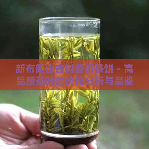 新布朗山古树普洱茶饼 - 高品质茶叶的价格分析与品鉴指南