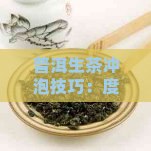 普洱生茶冲泡技巧：度控制与品尝体验