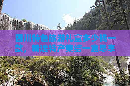 四川特色旅游礼盒多少钱一款，精选特产集结一盒尽享美誉