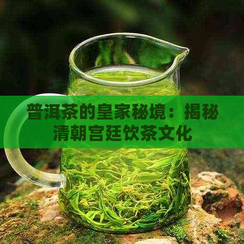 普洱茶的皇家秘境：揭秘清朝宫廷饮茶文化