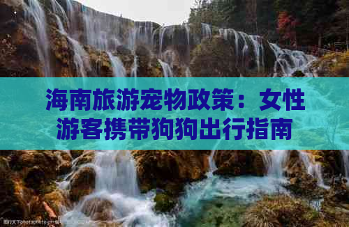 海南旅游宠物政策：女性游客携带狗狗出行指南