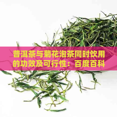 普洱茶与菊花泡茶同时饮用的功效及可行性：百度百科解答