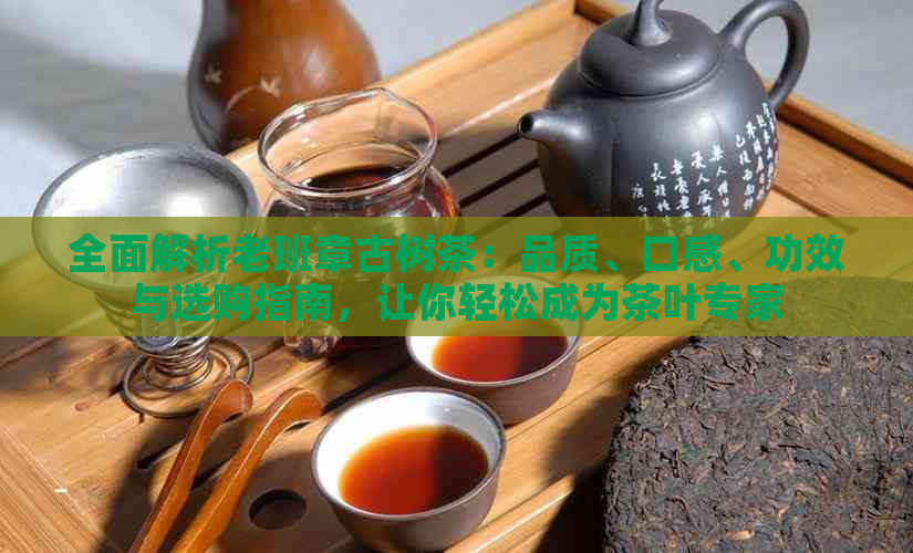 全面解析老班章古树茶：品质、口感、功效与选购指南，让你轻松成为茶叶专家