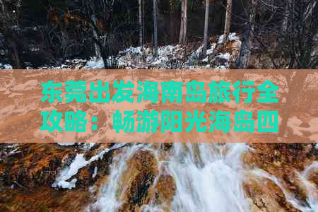 东莞出发海南岛旅行全攻略：畅游阳光海岛四日游