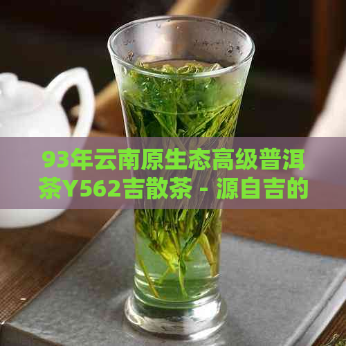 93年云南原生态高级普洱茶Y562吉散茶 - 源自吉的精选茶叶