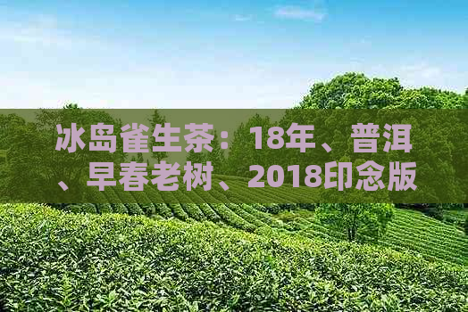 冰岛雀生茶：18年、普洱、早春老树、2018印念版口感特点