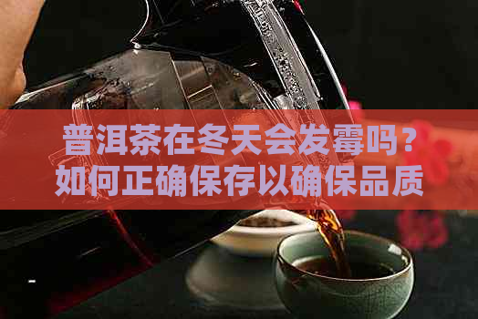 普洱茶在冬天会发霉吗？如何正确保存以确保品质和健？还能喝吗？