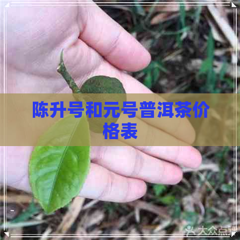 陈升号和元号普洱茶价格表