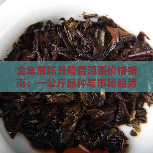 全年度陈升号普洱茶价格指南：一公斤品种与市场趋势分析