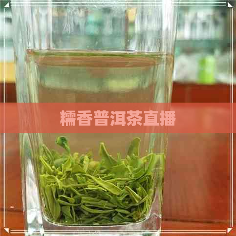 糯香普洱茶直播